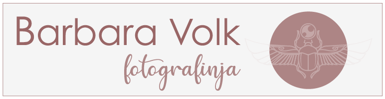BarbaraVolk